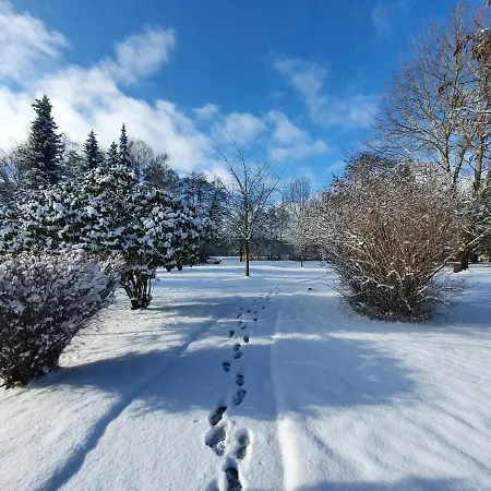 Zum Rittmeister Hotell 3*