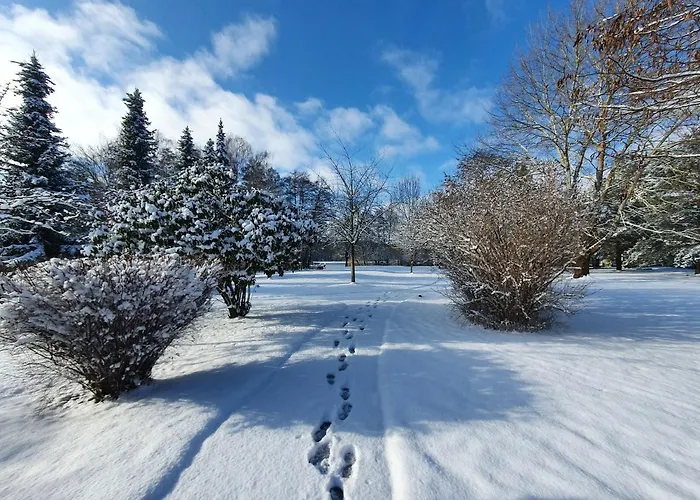 Zum Rittmeister Hotel 3*