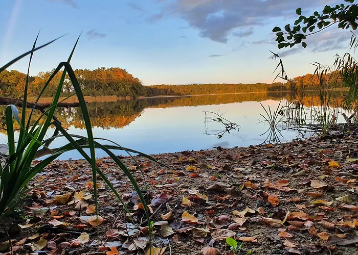 Hotel Zum Rittmeister Werder (Havel)